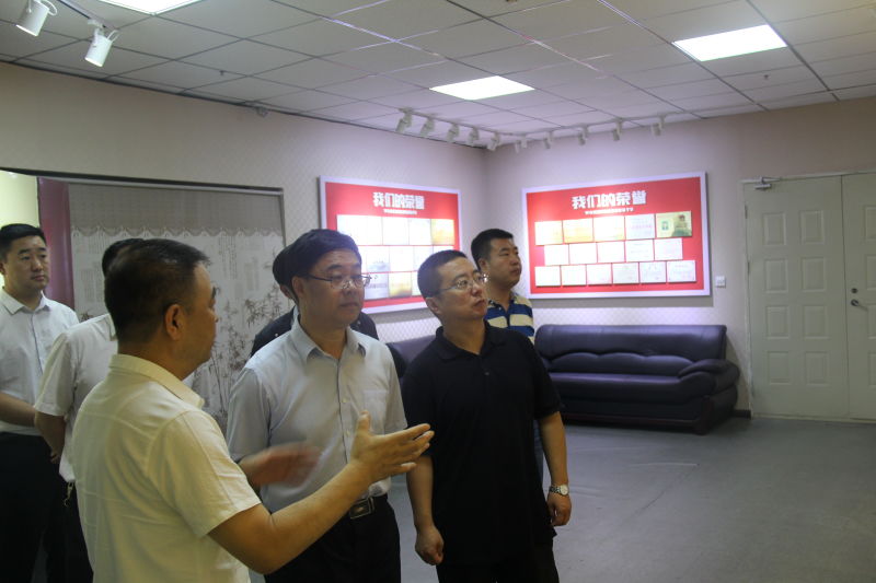 市商務局王奎局長一行蒞臨集團檢查指導